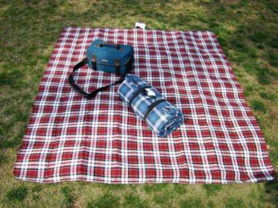 picnic pad (пикник/пусковая площадка пикника)